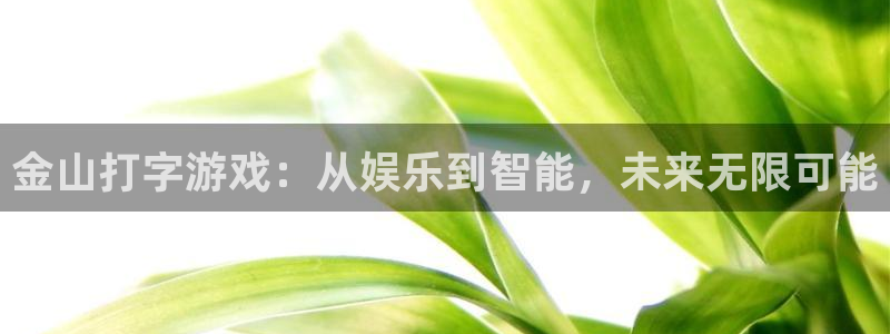 杏鑫娱乐4招商：金山打字游戏：从娱乐到智能，未来无限可能